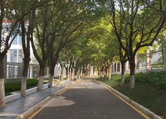 江衛(wèi)冬日集 這些藏在朋友圈里的甜，是青春的“溫度特調(diào)”2_副本.jpg