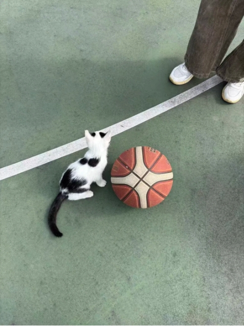 江衛(wèi)冬日集 這些藏在朋友圈里的甜，是青春的“溫度特調(diào)”4.png