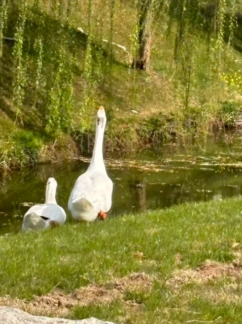江衛(wèi)冬日集 這些藏在朋友圈里的甜，是青春的“溫度特調(diào)”6.png