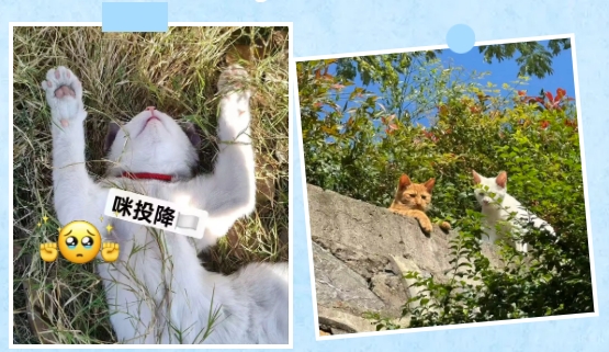 江衛(wèi)冬日集 這些藏在朋友圈里的甜，是青春的“溫度特調(diào)”16.png